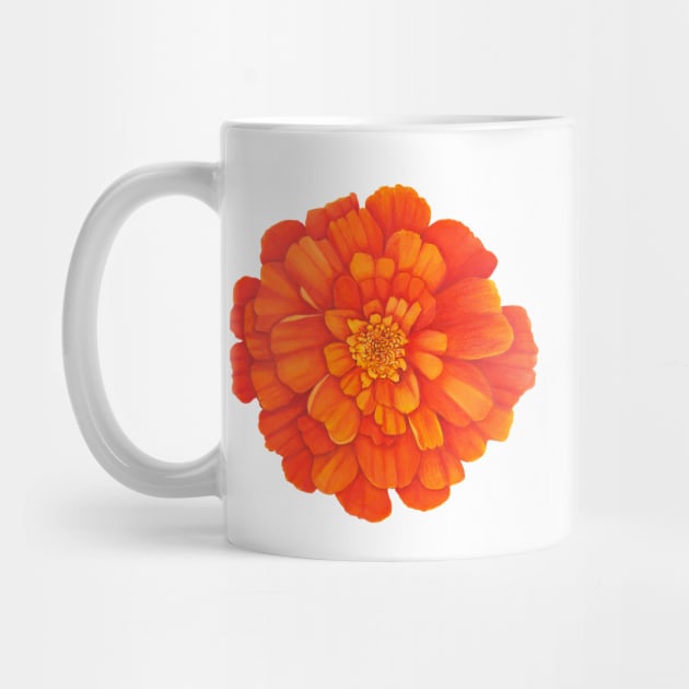 French Marigold by veroniqueayac